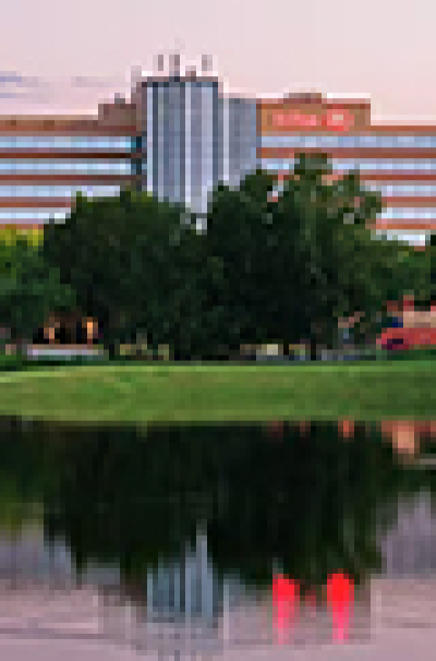 Hilton-2